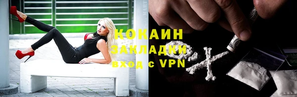 трава Дмитровск